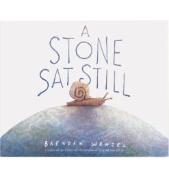 Chronicle Books A Stone Sat Still