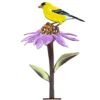 Goldfinch On Cone Flower