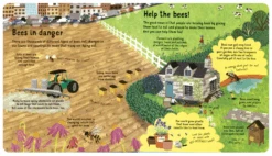 "Look Inside The World Of Bees" Book -Home Furnishings LookInsideTheWorldofBees Book3