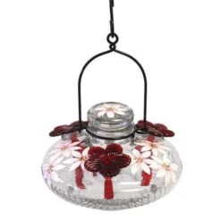 Bloom Botanica Clear Hummingbird Feeder