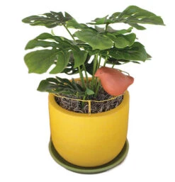 Planter, Wire & Clay W/ Perched Bird Detail