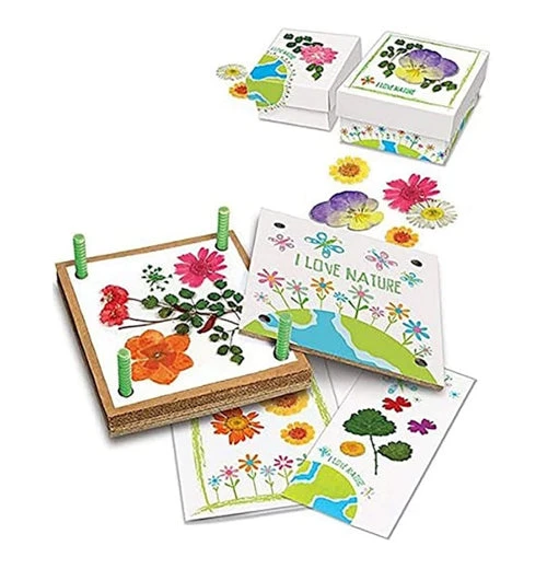 Toysmith Pressed Flower Art 2 Toysmith Pressed Flower Art - Image 2