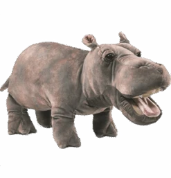Baby Hippo Hippo