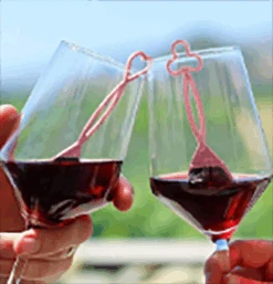 The Wand Wine Purifier 4-Pack "Pink" 5 The Wand Wine Purifier 4-Pack "Pink" -Home Furnishings ScreenShot2022 12 13at11.50.21AM