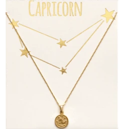 Tiny Zodiac Medallion Necklaces