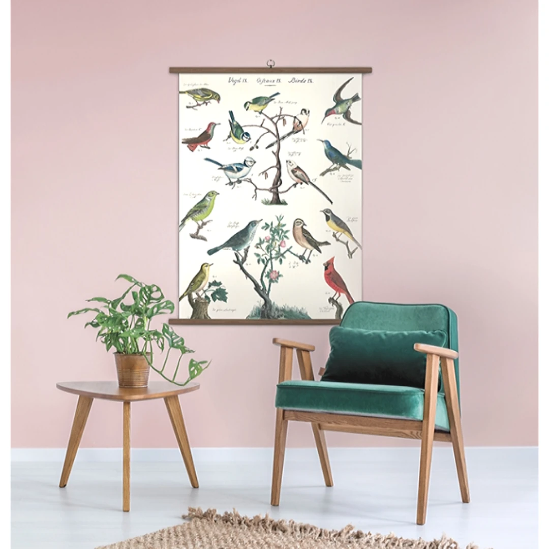 Vintage School Chart Of Birds 2 Vintage School Chart Of Birds - Image 2