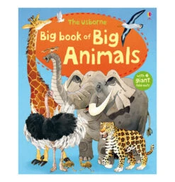 "Big Book Of Big Animals"
