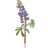 Lupine Pick